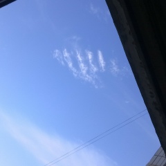 Нурзиля Сунчалиева, Мытищи