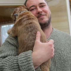 Илья Абдрахимов, 11.04.1973, Сертолово