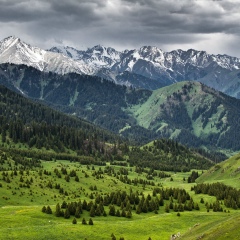 Нурсултан Шерим, 29.04.1995, Алматы