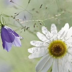 Таня Сурина, 23.01, Киев