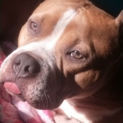 Майя Анисимова, 14.03