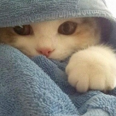 Мария Сальникова, 25.01, Санкт-Петербург