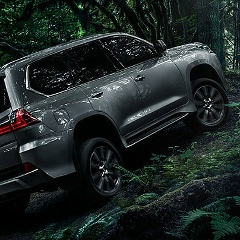 Алан Кесаев, 28.10, Иерусалим