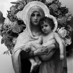 Алексей Плотников