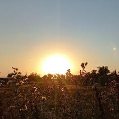 Юлька Светлячек