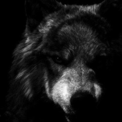 Вардан Маилян, 09.05.1936