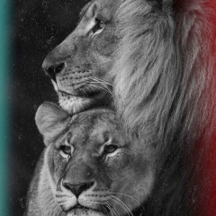 Алишер Иса, 05.02, Уральск