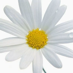 Айгерим Бошанова, 20.07, Семей