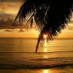 Андрей Кушнир, Одесса