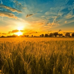 Інна Зайцева, 04.07, Волочиск