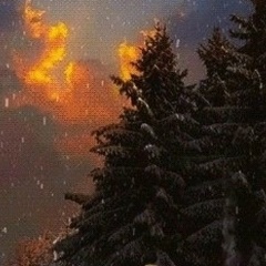 Ажарочка Султан, 21.05, Омск