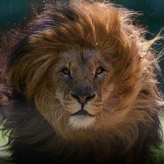 Ильяс Ильясов, 24.07.1985, Магадан