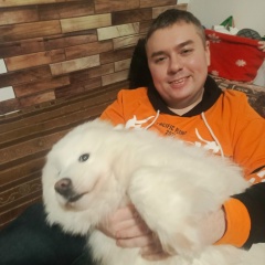 Дмитрий Боровицкий, Ярославль