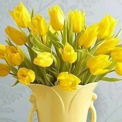 Лариса Исаева, 18.11, Грозный