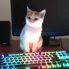 Said-Selim Shamilov, 15.01.1998