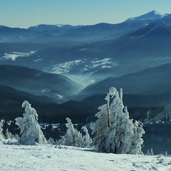Антон Чигрин, 01.01.1901
