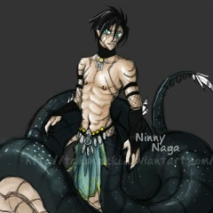 Владислав Непомнящий, Дружковка