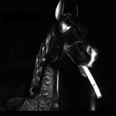 Roman Savkin, 11.01, Барнаул