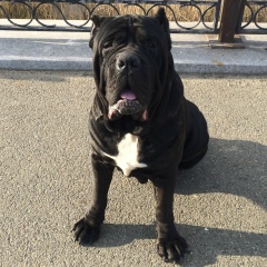 Дима Викторов, 08.08.1989, Атырау