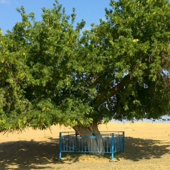 Рустем Байзиров, 20.07, Астана