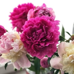 Людмила Яковлева, 21.07.1949, Москва