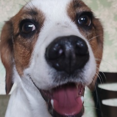 Юлия Федоровых, 19.05, Астрахань