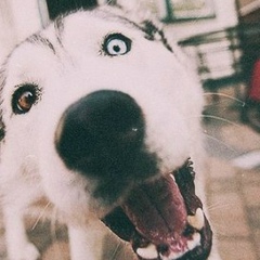 Рома , 25.10, Атырау