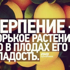 Мебель Мебель, 11.03.1990, Махачкала