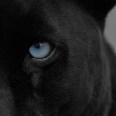 Саида Баширова, 02.01.1920, California