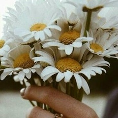 Варвара Поликарпова