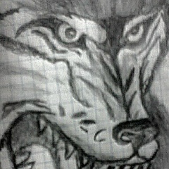 Акжол Акматов, 01.03.1994