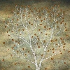 Кира Камфора, Харьков