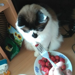 Кирилл Чирков, 23.06.1986, Ижевск