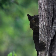 Марият Алибегова, 15.11.1989, Москва