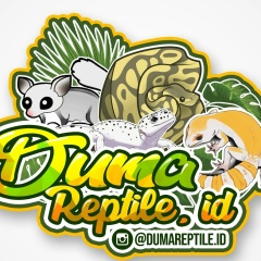 Siti Fatimah, 08.03.1993