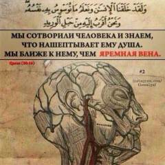 Аслан Баширов, 25.05.1991, Ливны