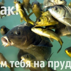 Иван Белов