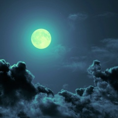 Айжан Ерджанова, Алматы