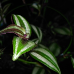 Лариса Соловьёва, 11.05