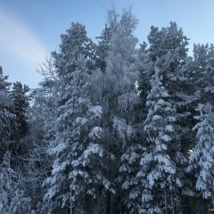 Элина Даутова, 09.06.1994, Сургут