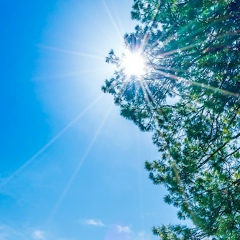 Pakhytkanum Akhmet, 16.11, Астрахань