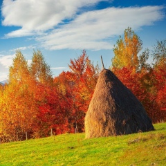 Елизабет Тошева, 20.06.1998, Санкт-Петербург