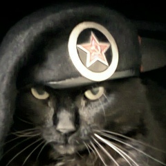 Антон Тюгаев, 24.08.1992, Новосибирск