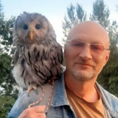 Виктор Богатырев, 10.05, Москва