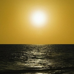 Abdallah Visaitov, 24.12, Грозный