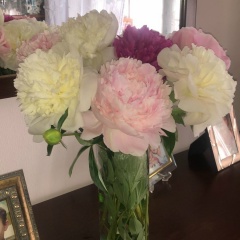 Алла Каскина, 15.12, Москва