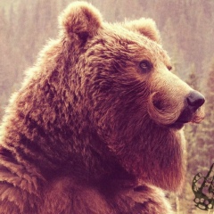 Revolt Thethirteenthfloor, 22.05