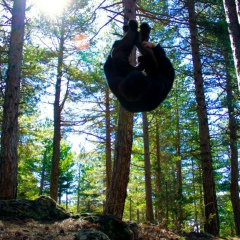 Damiano Torrisi, 15.05.1995, Catania