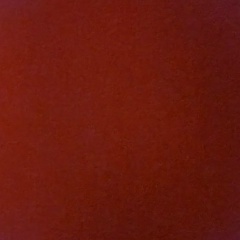 Дмитрий Шадришников, 11.05, Екатеринбург