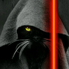 Евгений Аркадьевич, 23.06.1993, Санкт-Петербург